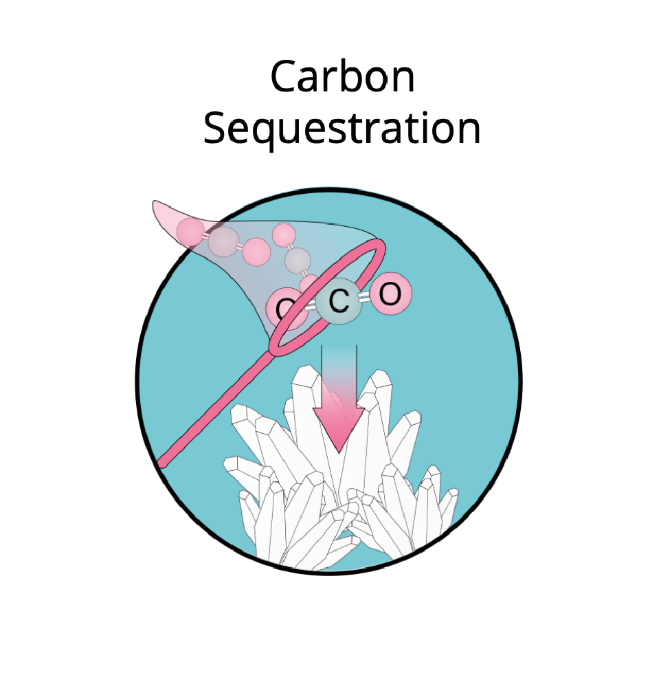 CarbonSequestration