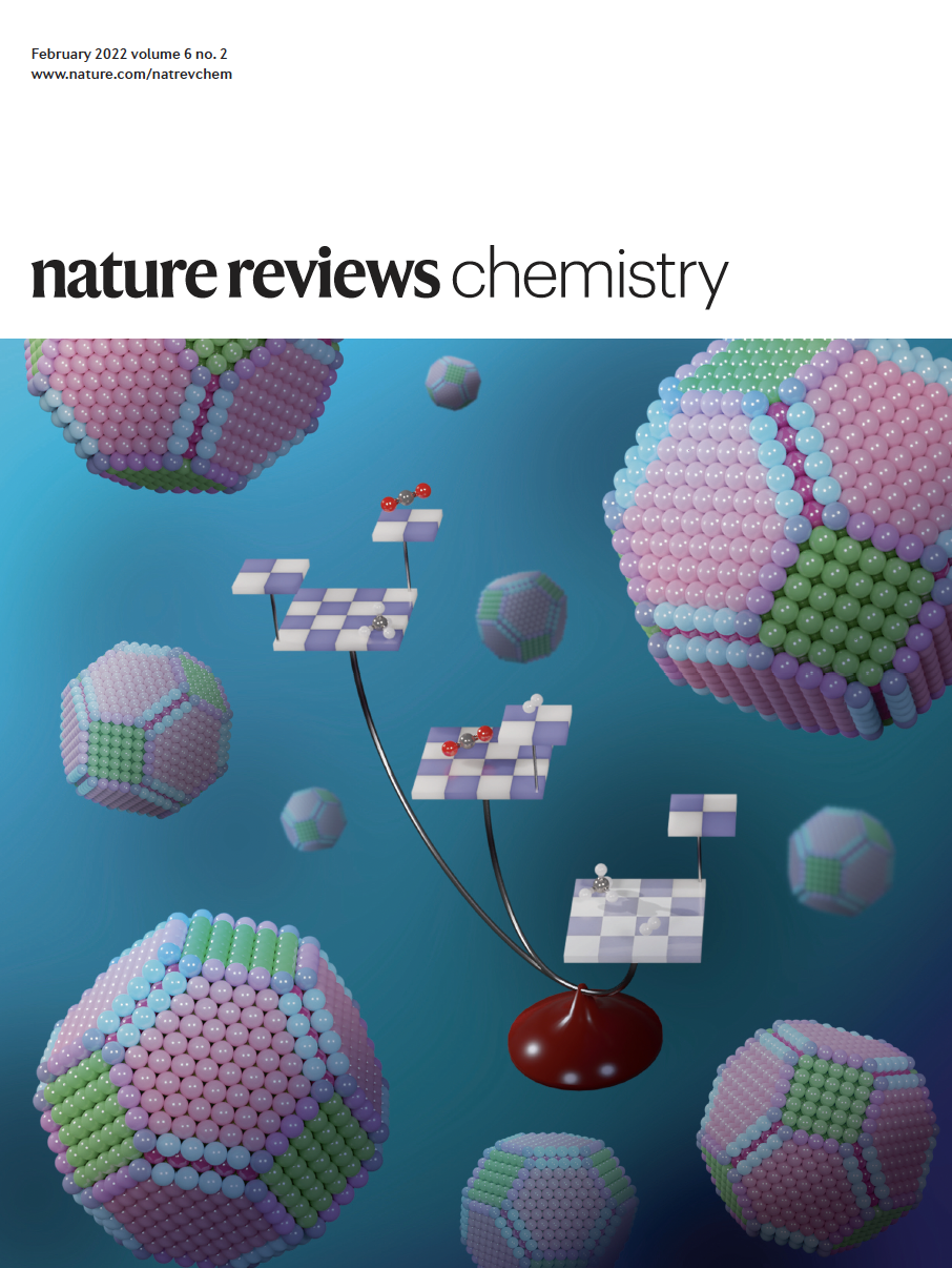 Nature Chemistry Reviews