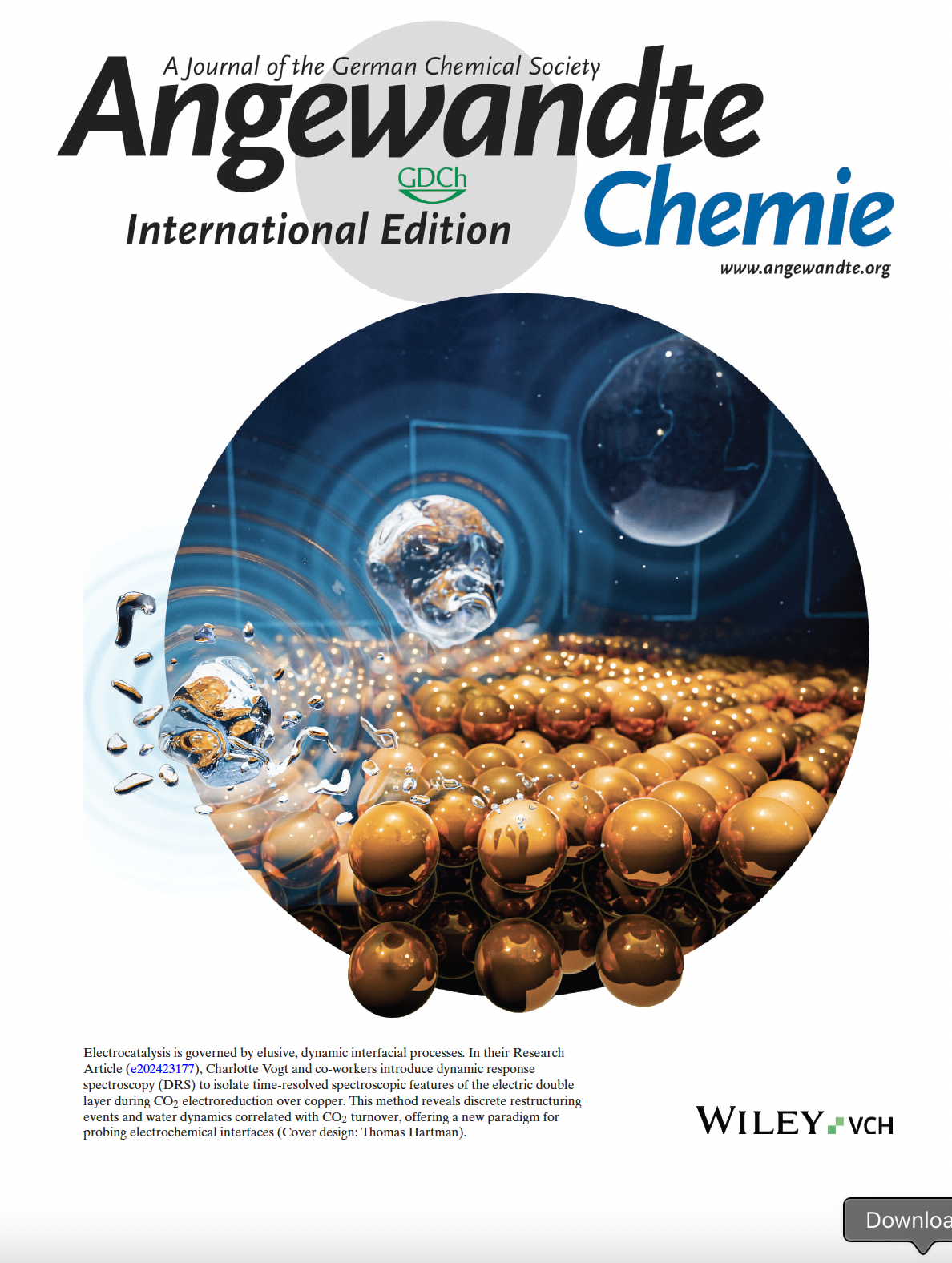 Daniel Sinausia Charlotte Vogt Front Cover Angewandte Chemie Journal