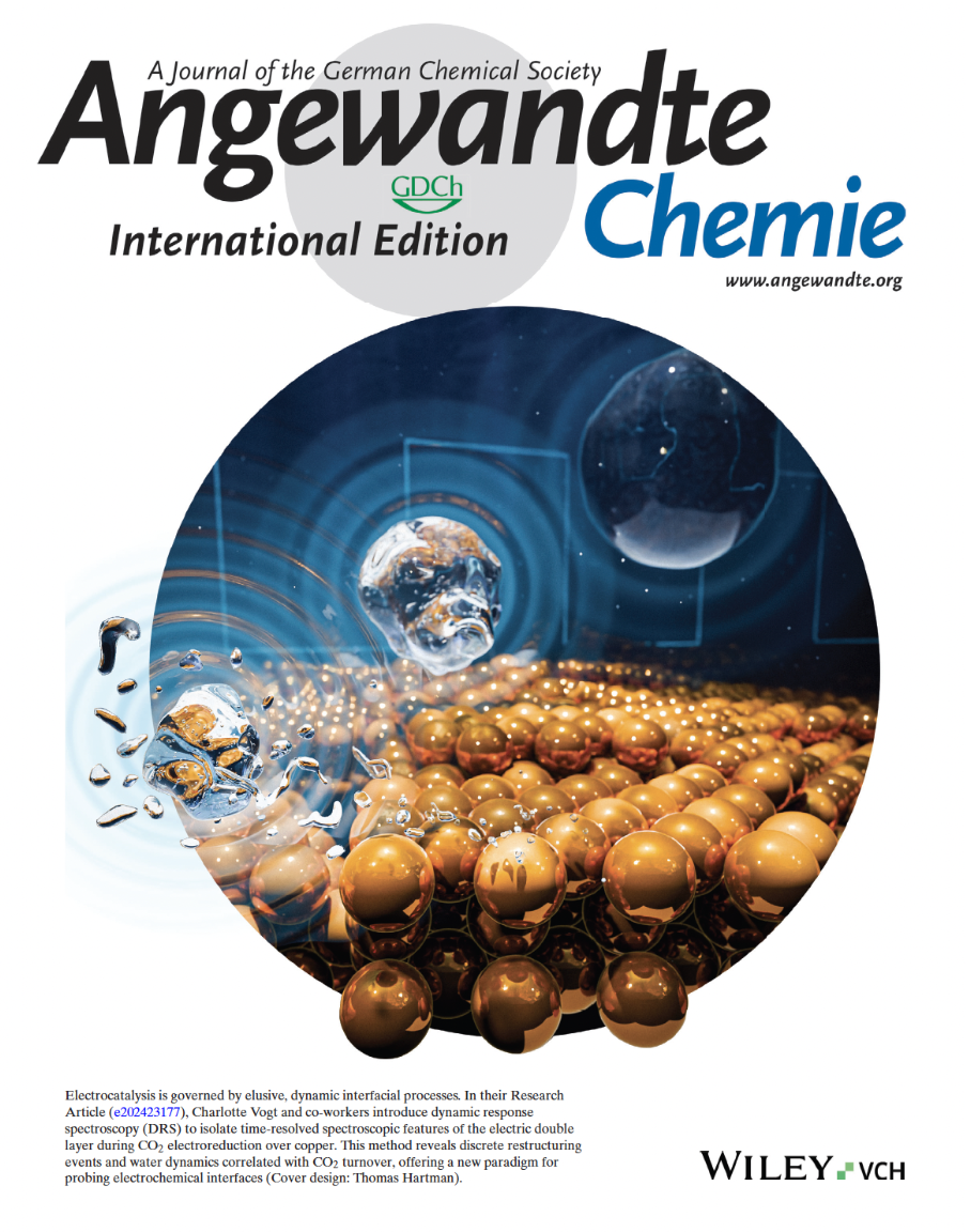 Angewandte Chemie Cover Sinausia Vogt Angewandte Chemie Cover Sinausia Vogt